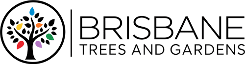 Brisbane Trees and Gardens, qualified arboriculture and garden specialists